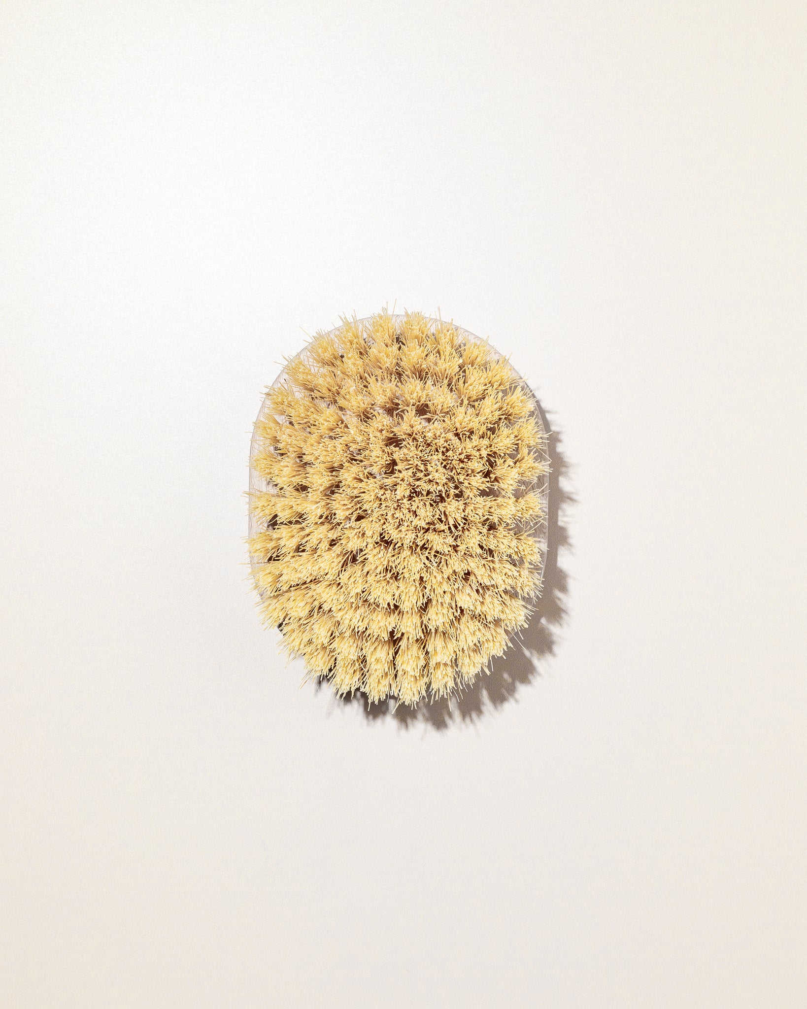 Dry Massage Body Brush